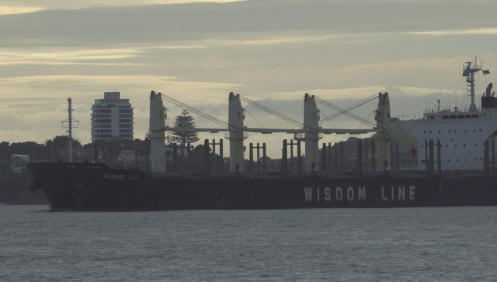 Bunun Ace